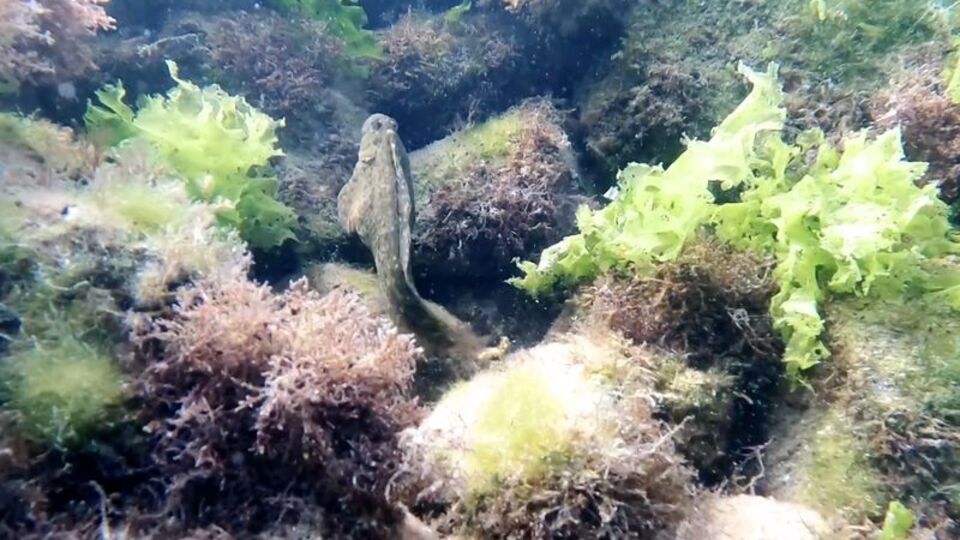 Roma dönemine ait... Böyle görüntülendi!