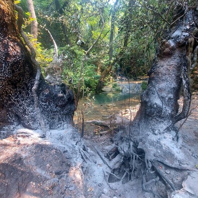 Doğa harikası şelalenin çevresi küle döndü