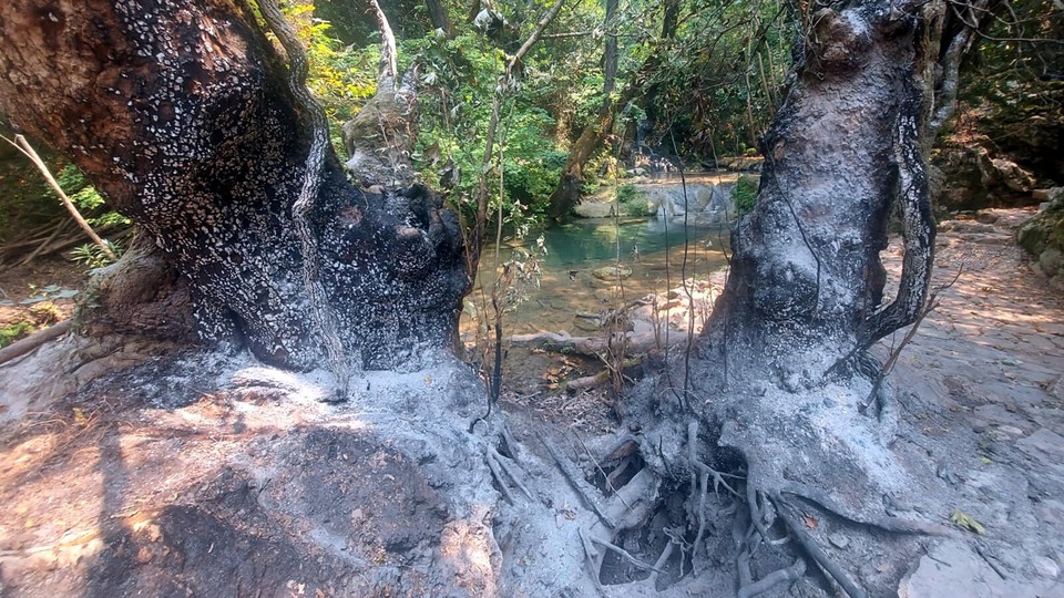 Doğa harikası şelalenin çevresi küle döndü