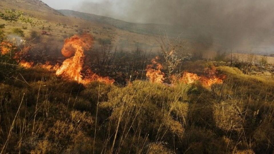 Aliağa'da çıkan yangın kontrol altında