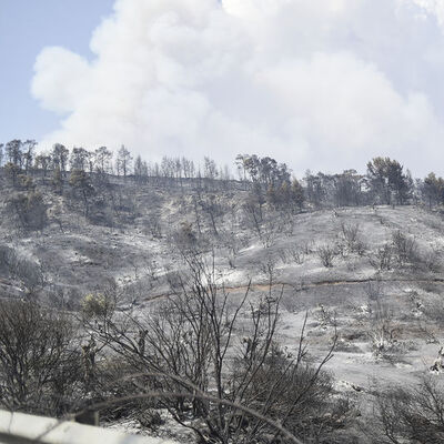 Yunanistan alevlerle boğuşuyor