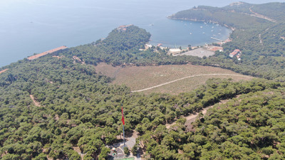 Heybeliada'da küle dönen alan görüntülendi