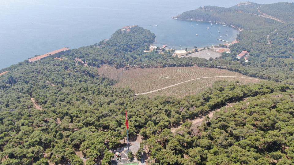 Heybeliada'da küle dönen alan görüntülendi