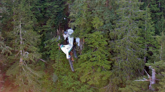 Alaska'da gezi uçağı düştü: 6 ölü