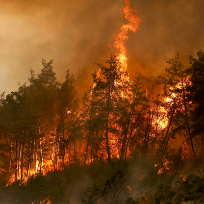Yangın bölgelerinde ödemeler ertelendi