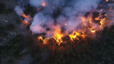 Yangın bölgeleri için iyi haber! Yağmur ve lodos geliyor