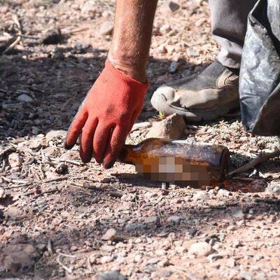 Ormanları tehdit eden tehlike yeniden gün yüzüne çıktı