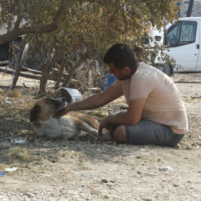 Yangının 4. günü gözlerine inanamadı! "Bir saat boyunca ağladım"