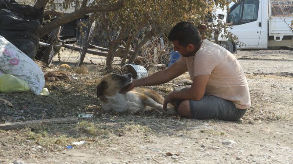 Yangının 4. günü gözlerine inanamadı! "Bir saat boyunca ağladım"