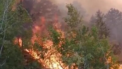 Yangınlar 'hava'yı nasıl etkiledi?
