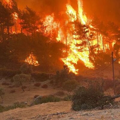 Yangınlarda 10'uncu gün! İşte son durum