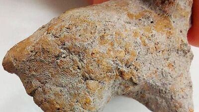 Apartman bahçesinde bulundu... 9 bin yıl korunmuş