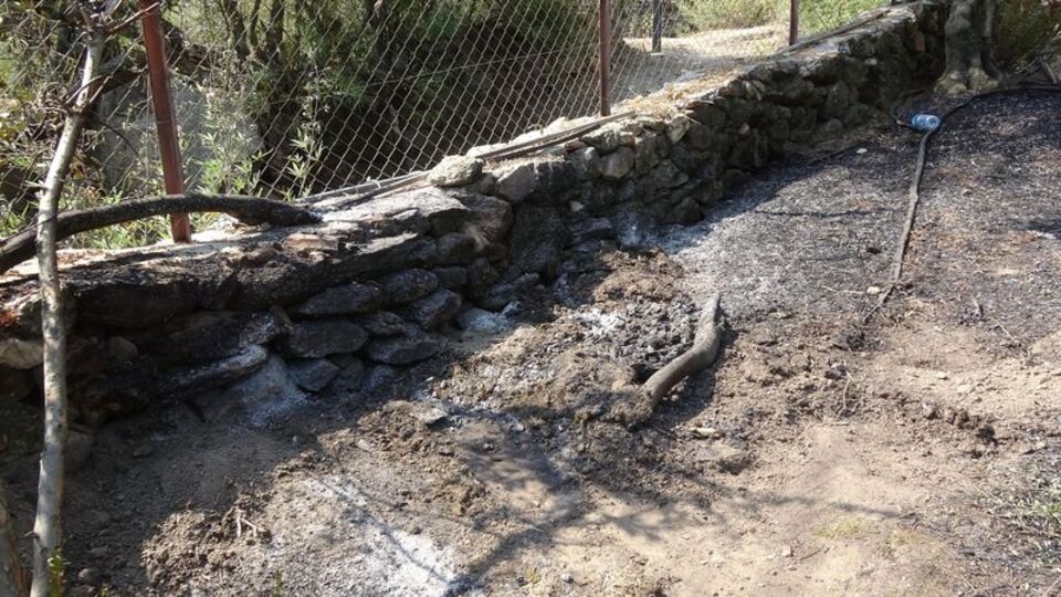 Düğünü bırakıp yangına koştular!