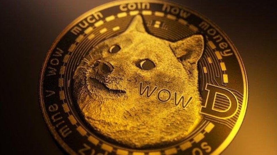 Dogecoin'de dalgalı seyir