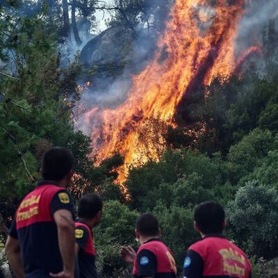 Orman yangınlarında son durum