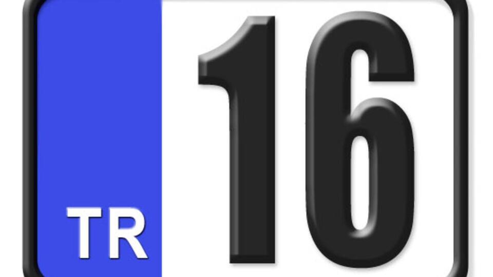 16 nerenin plakası?