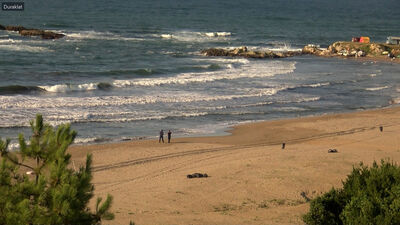 Yasağa uymadılar, bedeli ağır oldu!