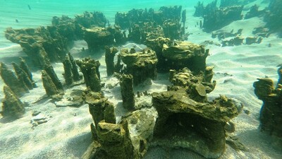 Heyecan verici keşif! "Uzayda hissi veriyor"