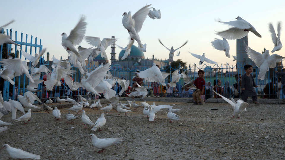 Afganistan'da son 72 saatte 27 çocuk öldürüldü