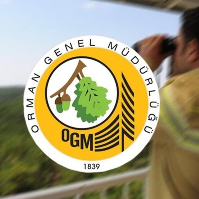 OGM'den 'iz ödenek' açıklaması ve 'Ormanspor' iddiasına yalanlama