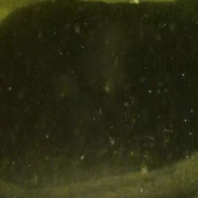 Yeni bulgular ortaya çıkıyor... Van Gölü'nde keşfedildi