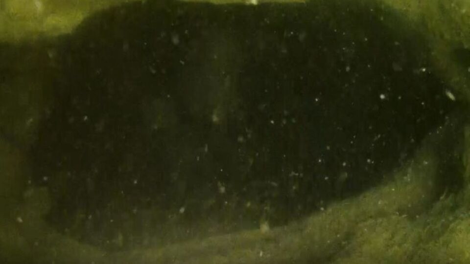 Yeni bulgular ortaya çıkıyor... Van Gölü'nde keşfedildi