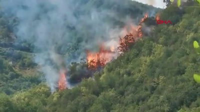 Sarıyer'de korkutan orman yangını!