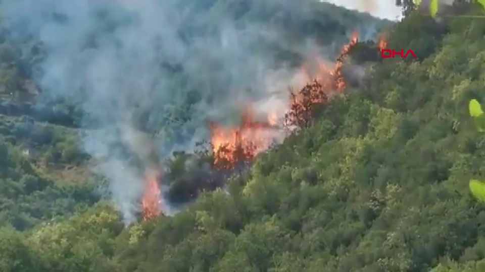 Sarıyer'de korkutan orman yangını!