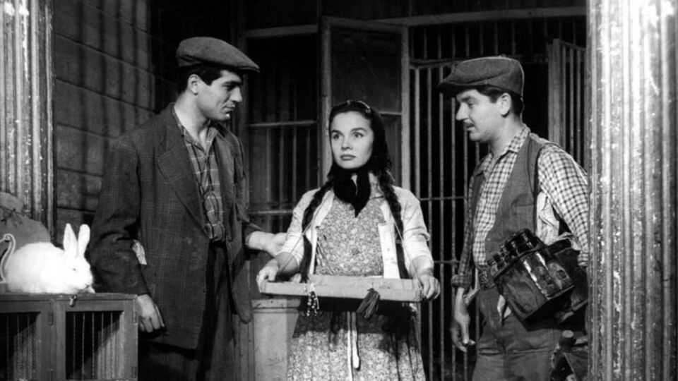 12 Ağustos'ta başlayacak