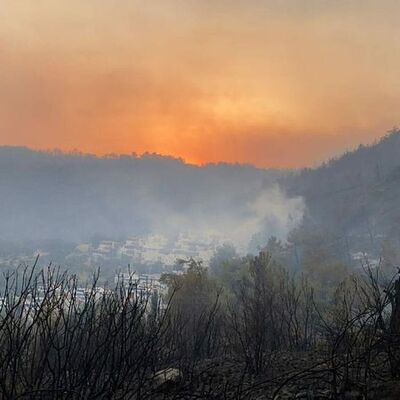 Yangınlarda 14'üncü gün! Müdahale sürüyor