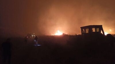 İzmir Çeşme'de yangın