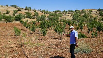 Hobi amaçlı başladı, atıl araziyi bahçeye dönüştürdü!
