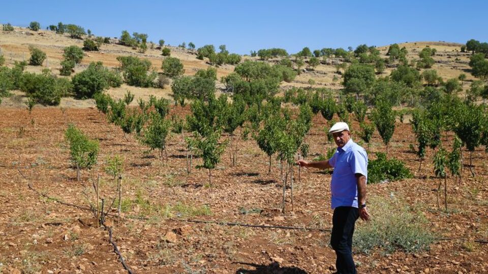 Hobi amaçlı başladı, atıl araziyi bahçeye dönüştürdü!