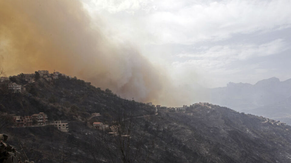 Cezayir'de orman yangınları: 42 ölü!