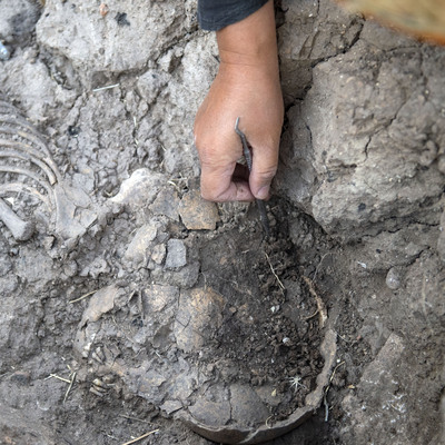 Kurtarma kazısında bulundu... Hemen korumaya alındı!