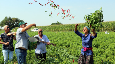 Göbek atarak topladılar... "Eşi benzeri yok"