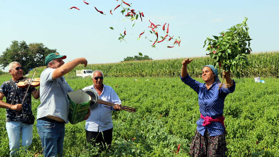 Göbek atarak topladılar... "Eşi benzeri yok"