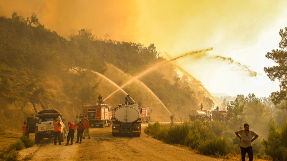 Manavgat'ta korkutan yangın!