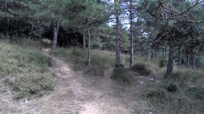 Eski eşini ormana götürüp katletti!