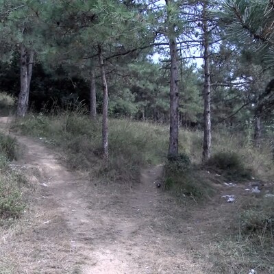 Eski eşini ormana götürüp katletti!