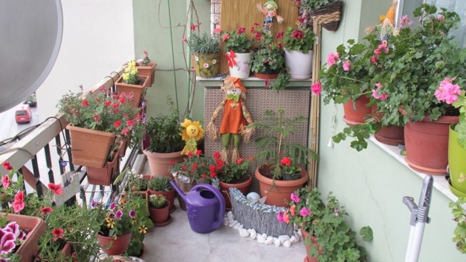 Koronavirüs balkon bahçeciliğine ilgiyi arttırdı