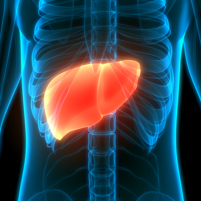 Bu belirtilere dikkat! Karaciğer alarm verirse...