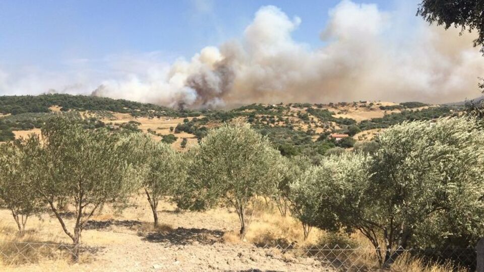 Foça'da orman yangını