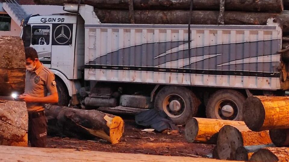 Artvin'de üzerine tomruk düşen kişi öldü