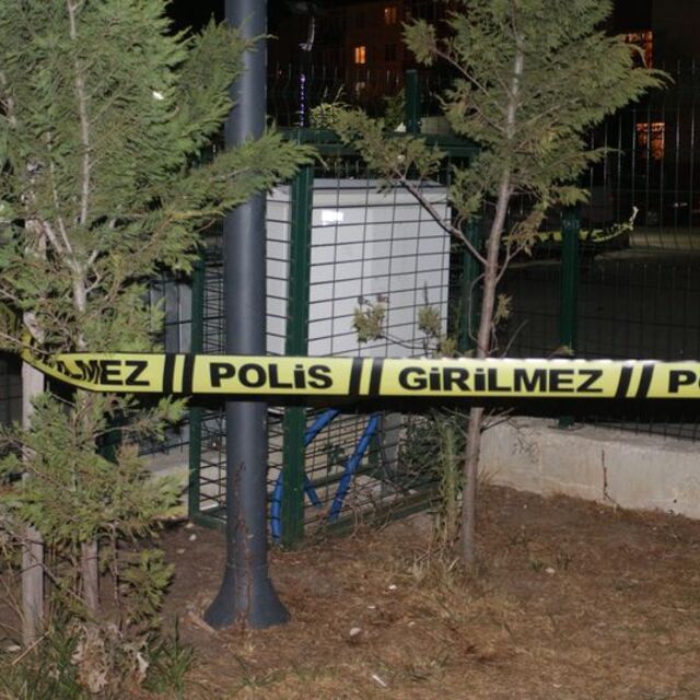 Parkta facia ucuz atlatıldı!