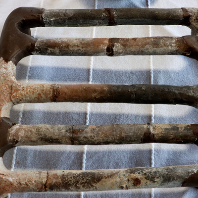 Evin çöplük alanında bulundu... Bakın hangi amaçla kullanılmış!