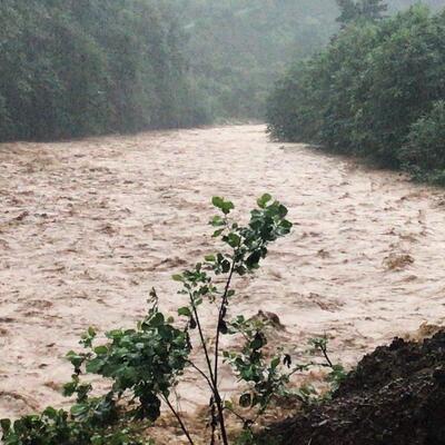 Rize'yi de şiddetli sağanak vurdu!