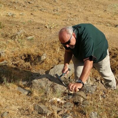 Muş'ta rastlandı! "35 milyon yıl öncesine ait olabileceğini düşünüyoruz"