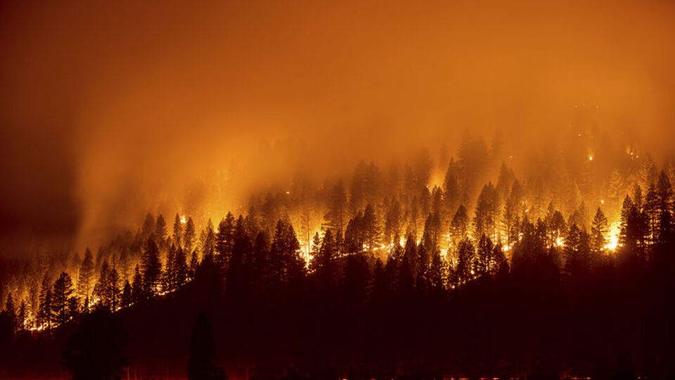California'da orman yangınları!