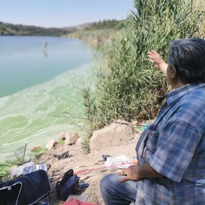 Eymir Gölü'nde ilk kez görüldü!